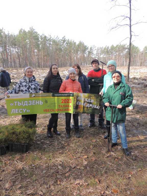 0 02 05 32c6264e730d0fc0cfac9f2278e72589b74e1d1c5e943b223de05f00b511d956 3883c72839f52379