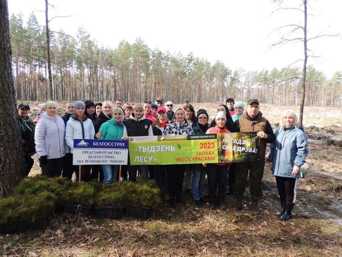 0 02 05 e337ed499a02ea8c1017c0afa8350f66811d5306ff00bf2e847aa6ba111a8925 cbb96f254b3aa7b4