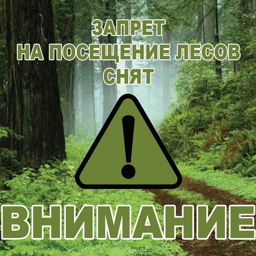 Запрет снят