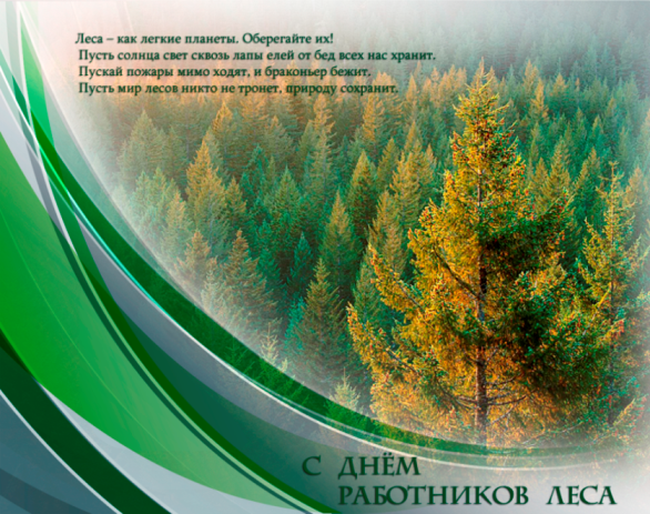 День леса
