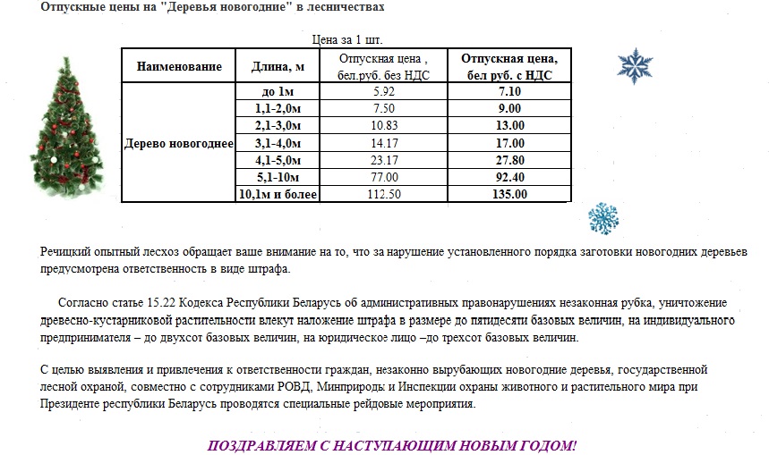 НГ 2