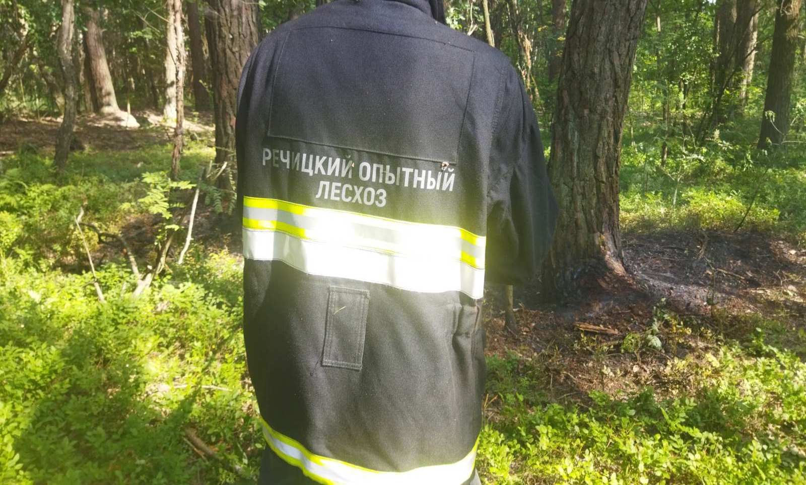 Ровенская 1